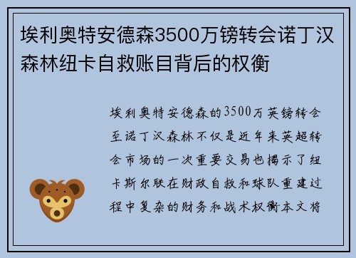 埃利奥特安德森3500万镑转会诺丁汉森林纽卡自救账目背后的权衡