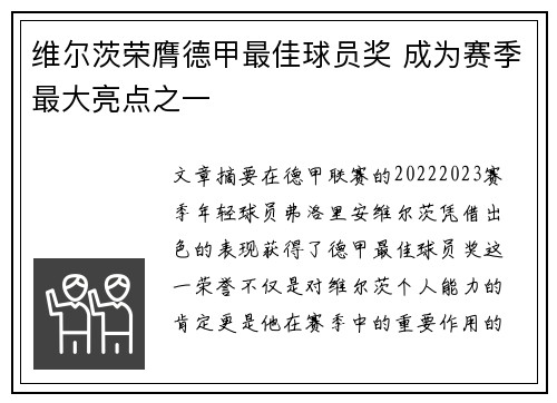维尔茨荣膺德甲最佳球员奖 成为赛季最大亮点之一